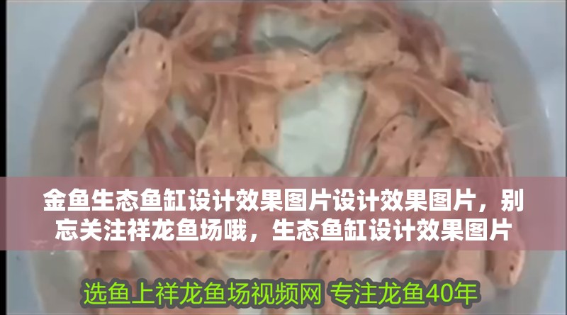 金魚生態魚缸設計效果圖片設計效果圖片，別忘關注祥龍魚場哦，生態魚缸設計效果圖片