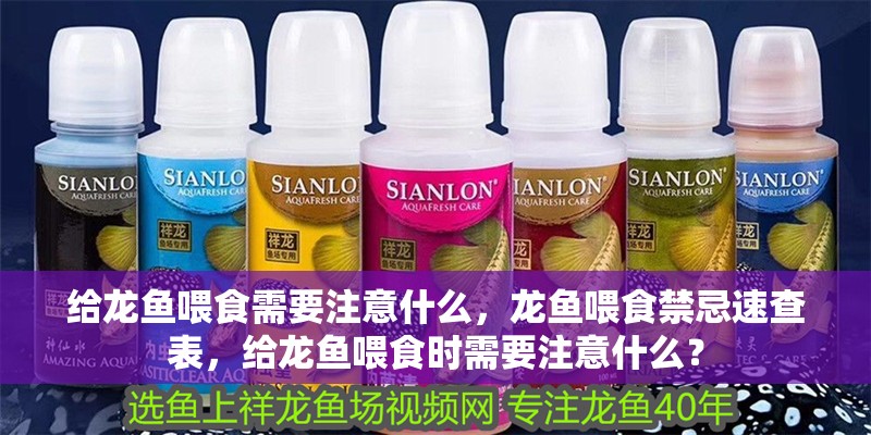 給龍魚喂食需要注意什么，龍魚喂食禁忌速查表，給龍魚喂食時需要注意什么？ 給龍魚喂食需要注意什么，龍魚喂食禁忌速查表，給龍魚喂食時需要注意什么？ 龍魚百科 第1張