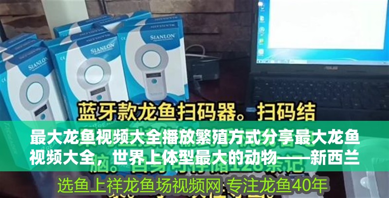最大龍魚視頻大全播放繁殖方式分享最大龍魚視頻大全，世界上體型最大的動物——新西蘭大龍魚