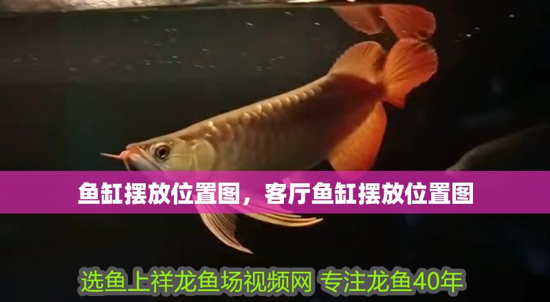 魚缸擺放位置圖，客廳魚缸擺放位置圖