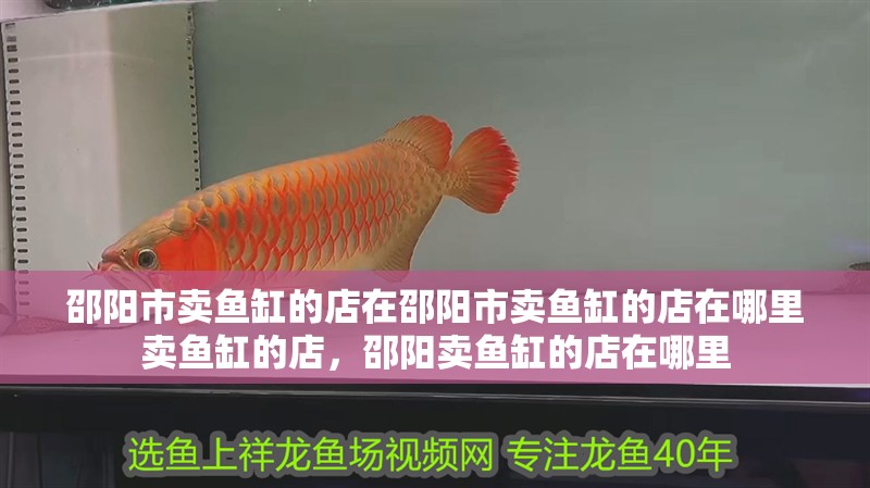 邵陽市賣魚缸的店在邵陽市賣魚缸的店在哪里賣魚缸的店，邵陽賣魚缸的店在哪里