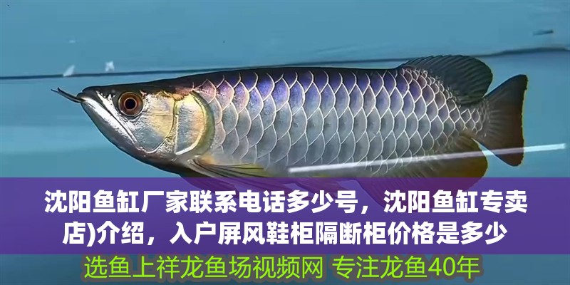 沈陽魚缸廠家聯系電話多少號，沈陽魚缸專賣店)介紹，入戶屏風鞋柜隔斷柜價格是多少