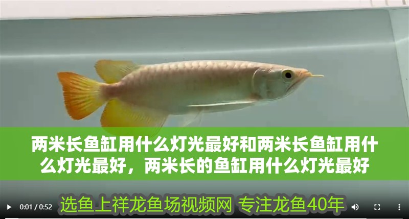兩米長魚缸用什么燈光最好和兩米長魚缸用什么燈光最好，兩米長的魚缸用什么燈光最好