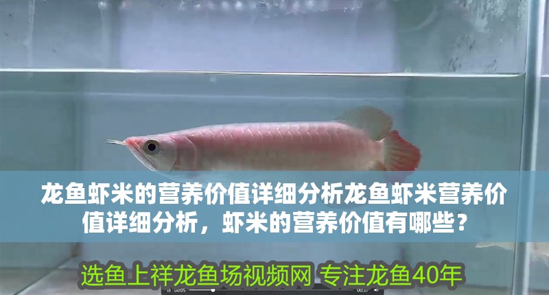 龍魚蝦米的營養(yǎng)價值詳細分析龍魚蝦米營養(yǎng)價值詳細分析，蝦米的營養(yǎng)價值有哪些？