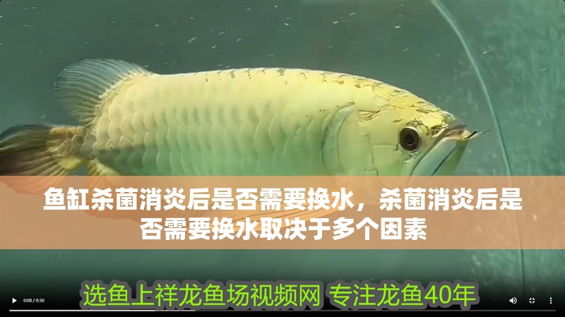 魚缸殺菌消炎后是否需要換水，殺菌消炎后是否需要換水取決于多個因素