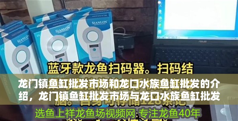 龍門鎮魚缸批發市場和龍口水族魚缸批發的介紹，龍門鎮魚缸批發市場與龍口水族魚缸批發