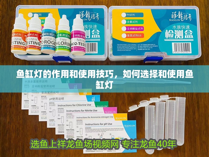 魚缸燈的作用和使用技巧，如何選擇和使用魚缸燈
