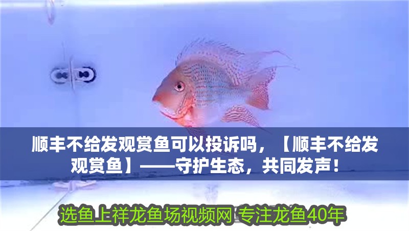 順豐不給發(fā)觀賞魚可以投訴嗎，【順豐不給發(fā)觀賞魚】——守護生態(tài)，共同發(fā)聲！