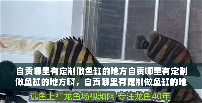 自貢哪里有定制做魚缸的地方自貢哪里有定制做魚缸的地方啊，自貢哪里有定制做魚缸的地方啊電話