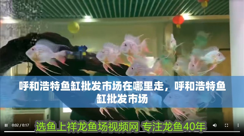 呼和浩特魚缸批發市場在哪里走，呼和浩特魚缸批發市場 呼和浩特魚缸批發市場在哪里走，呼和浩特魚缸批發市場 觀賞魚百科 第2張