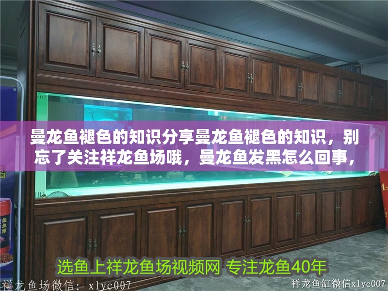 曼龍魚褪色的知識分享曼龍魚褪色的知識，別忘了關注祥龍魚場哦，曼龍魚發黑怎么回事，