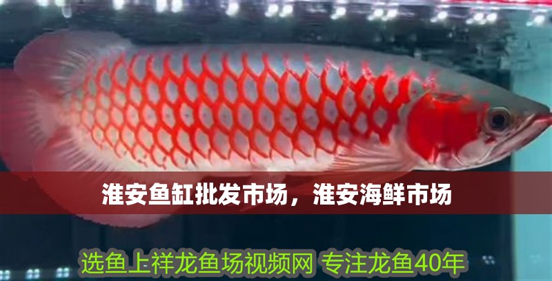 淮安魚缸批發市場，淮安海鮮市場