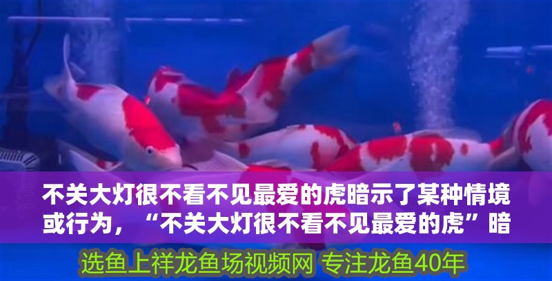 不關大燈很不看不見最愛的虎暗示了某種情境或行為，“不關大燈很不看不見最愛的虎”暗示了某種情境或行為 不關大燈很不看不見最愛的虎暗示了某種情境或行為，“不關大燈很不看不見最愛的虎”暗示了某種情境或行為 觀賞魚百科 第1張