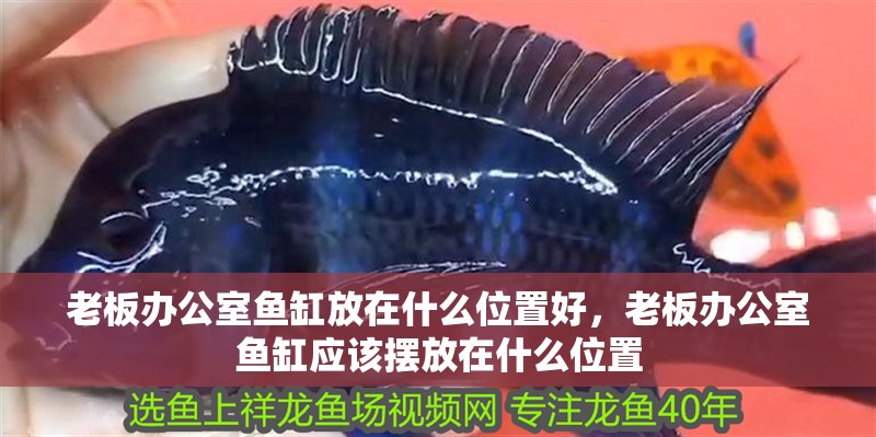 老板辦公室魚缸放在什么位置好，老板辦公室魚缸應該擺放在什么位置
