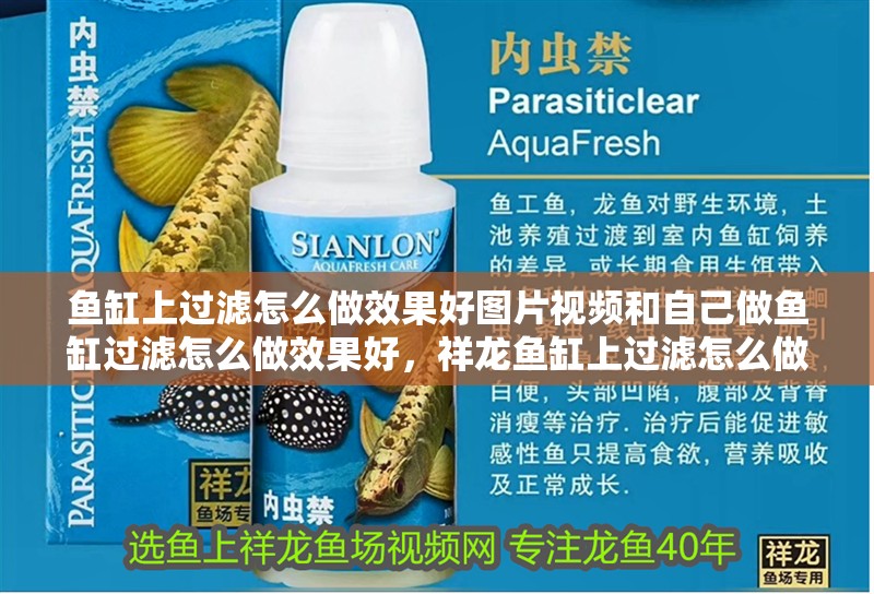 魚缸上過濾怎么做效果好圖片視頻和自己做魚缸過濾怎么做效果好，祥龍魚缸上過濾怎么做效果好圖片視頻和自己做魚缸上過濾怎么做效果好