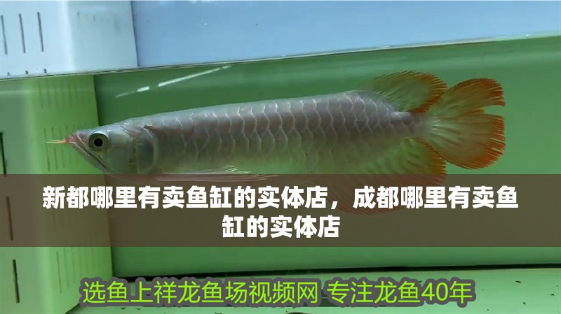新都哪里有賣(mài)魚(yú)缸的實(shí)體店，成都哪里有賣(mài)魚(yú)缸的實(shí)體店 新都哪里有賣(mài)魚(yú)缸的實(shí)體店，成都哪里有賣(mài)魚(yú)缸的實(shí)體店 觀(guān)賞魚(yú)百科