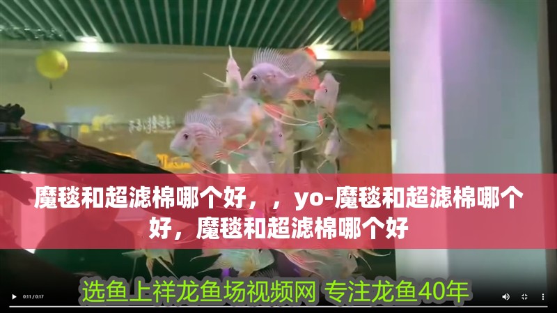 魔毯和超濾棉哪個(gè)好，，yo-魔毯和超濾棉哪個(gè)好，魔毯和超濾棉哪個(gè)好