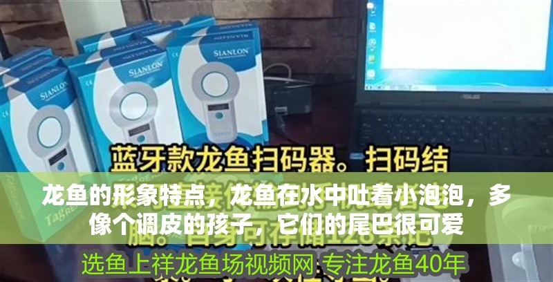 龍魚的形象特點，龍魚在水中吐著小泡泡，多像個調皮的孩子，它們的尾巴很可愛