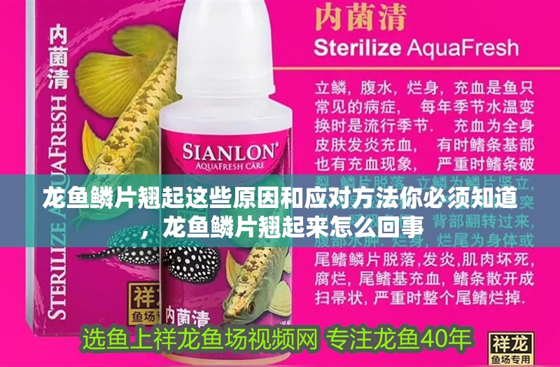 龍魚鱗片翹起這些原因和應對方法你必須知道，龍魚鱗片翹起來怎么回事