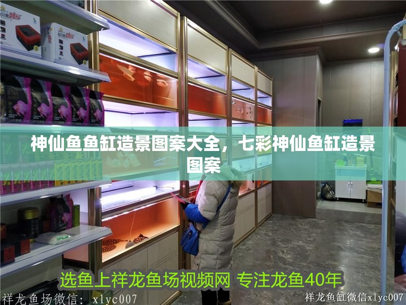 神仙魚魚缸造景圖案大全，七彩神仙魚缸造景圖案