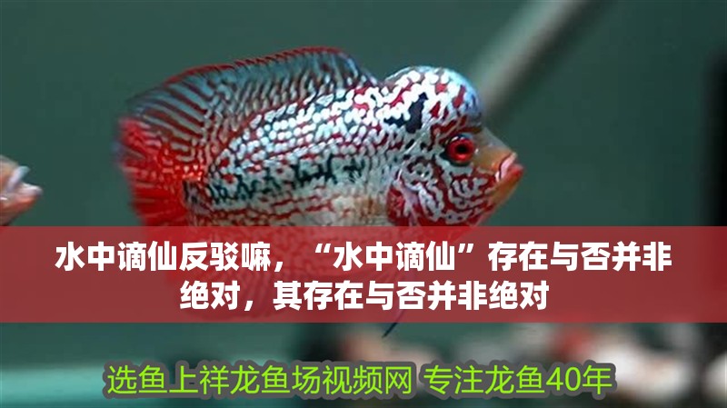水中謫仙反駁嘛，“水中謫仙”存在與否并非絕對，其存在與否并非絕對