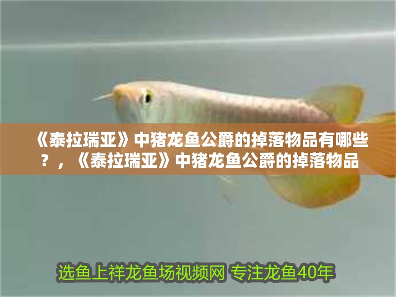 《泰拉瑞亞》中豬龍魚公爵的掉落物品有哪些？，《泰拉瑞亞》中豬龍魚公爵的掉落物品