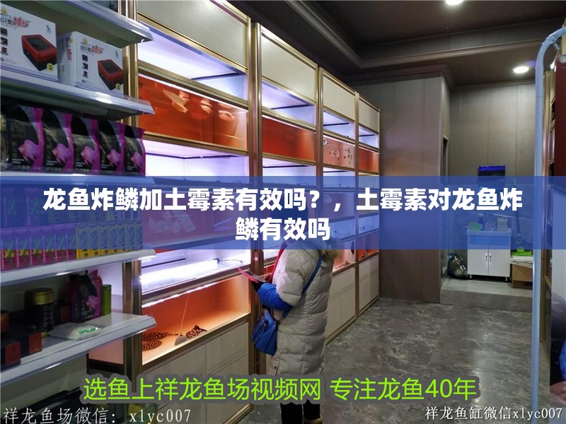 龍魚(yú)炸鱗加土霉素有效嗎？，土霉素對(duì)龍魚(yú)炸鱗有效嗎