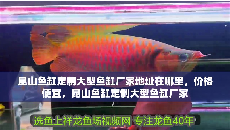 <strong><mark>昆山</mark></strong>魚缸定制大型魚缸廠家地址在哪里，價格便宜，<strong><mark>昆山</mark></strong>魚缸定制大型魚缸廠家