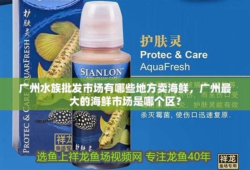廣州水族批發市場有哪些地方賣海鮮，廣州最大的海鮮市場是哪個區？