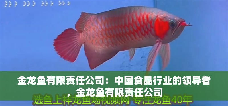 金龍魚有限責(zé)任公司：中國食品行業(yè)的領(lǐng)導(dǎo)者，金龍魚有限責(zé)任公司 金龍魚有限責(zé)任公司：中國食品行業(yè)的領(lǐng)導(dǎo)者，金龍魚有限責(zé)任公司 觀賞魚百科 第2張
