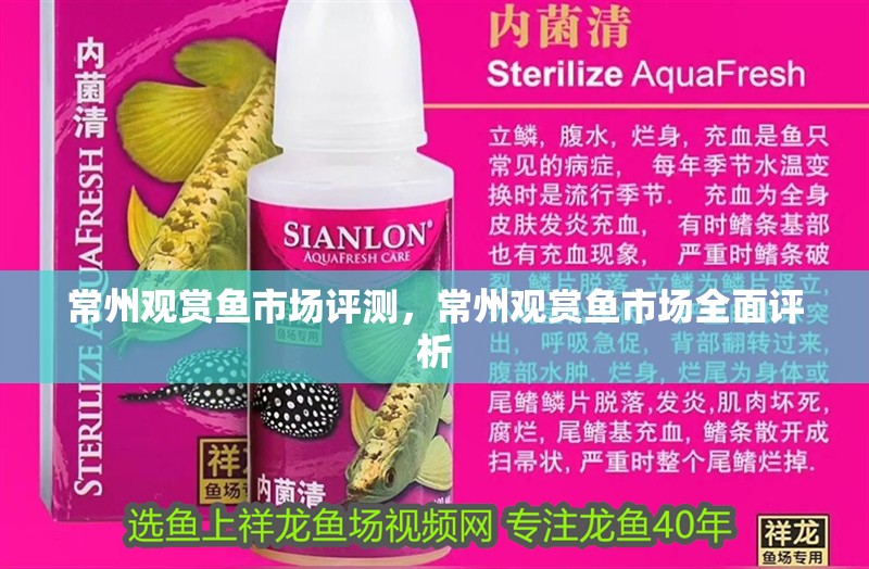 常州觀賞魚市場評測，常州觀賞魚市場全面評析