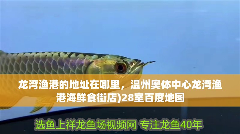 龍灣漁港的地址在哪里，溫州奧體中心龍灣漁港海鮮食街店)28室百度地圖