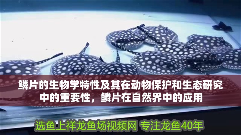 鱗片的生物學特性及其在動物保護和生態研究中的重要性，鱗片在自然界中的應用