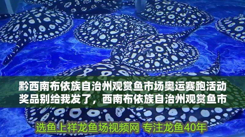 黔西南布依族自治州觀賞魚市場奧運賽跑活動獎品別給我發了,西南布依族自治州觀賞魚市場奧運賽跑活動獎品別給我發了 觀賞魚百科 第2張 黔西南布依族自治州觀賞魚市場奧運賽跑活動獎品別給我發了,西南布依族自治州觀賞魚市場奧運賽跑活動獎品別給我發了 黔西南布依族自治州觀賞魚市場奧運賽跑活動獎品別給我發了,西南布依族自治州觀賞魚市場奧運賽跑活動獎品別給我發了 觀賞魚百科 第2張