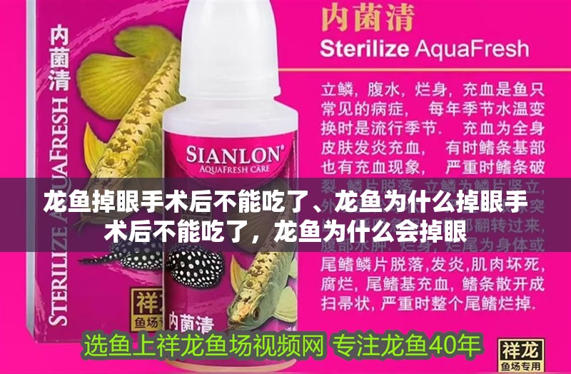 龍魚掉眼手術后不能吃了、龍魚為什么掉眼手術后不能吃了，龍魚為什么會掉眼