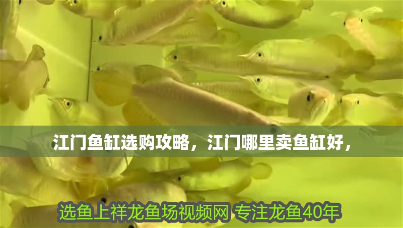 江門魚缸選購攻略，江門哪里賣魚缸好，