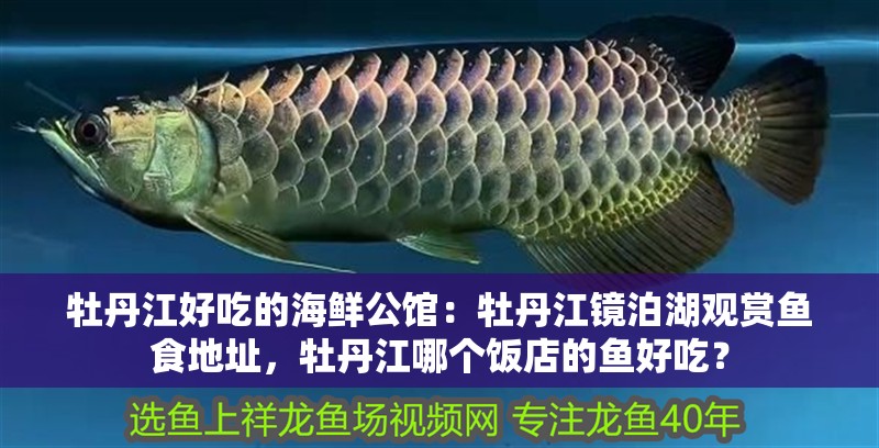 牡丹江好吃的海鮮公館：牡丹江鏡泊湖觀賞魚食地址，牡丹江哪個飯店的魚好吃？ 牡丹江好吃的海鮮公館：牡丹江鏡泊湖觀賞魚食地址，牡丹江哪個飯店的魚好吃？ 觀賞魚百科 第2張