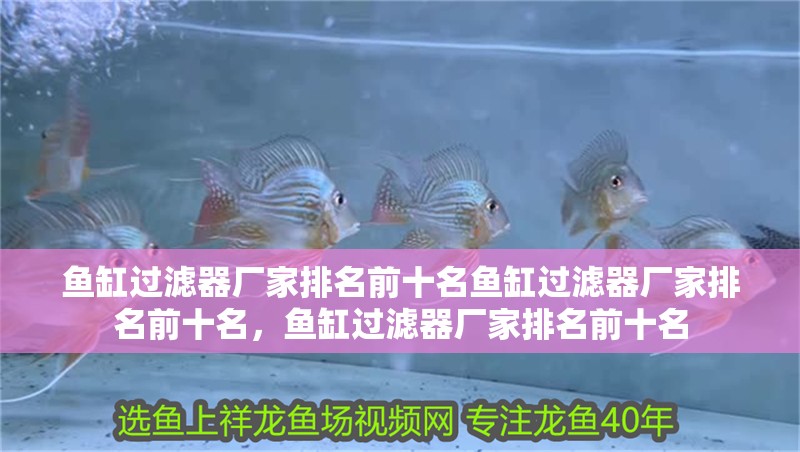 魚缸過濾器廠家排名前十名魚缸過濾器廠家排名前十名，魚缸過濾器廠家排名前十名