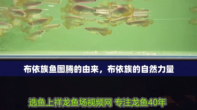 布依族魚圖騰的由來，布依族的自然力量