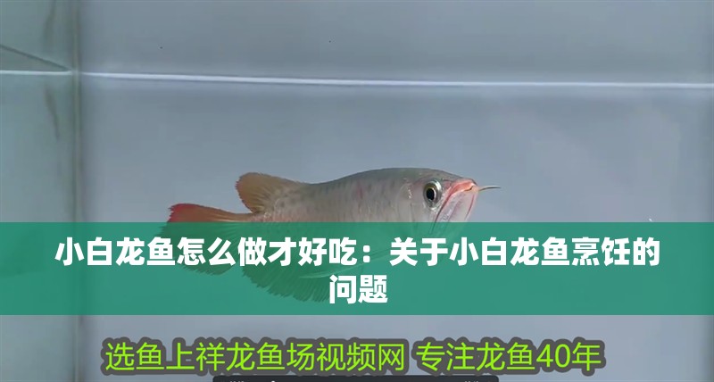 小白龍魚怎么做才好吃：關于小白龍魚烹飪的問題