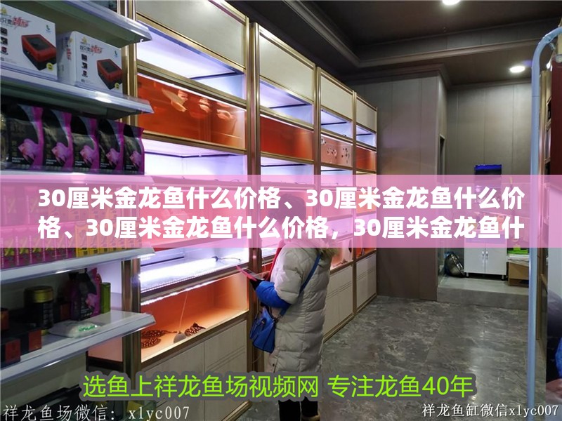 30厘米金龍魚什么價格、30厘米金龍魚什么價格、30厘米金龍魚什么價格，30厘米金龍魚什么價