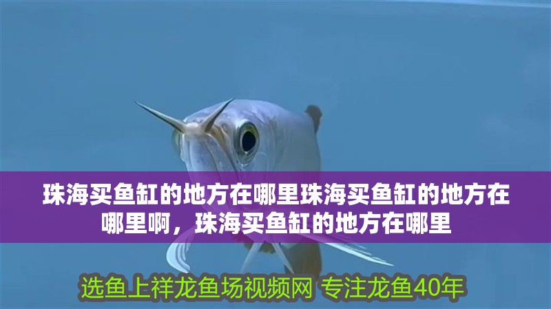 珠海買魚缸的地方在哪里珠海買魚缸的地方在哪里啊，珠海買魚缸的地方在哪里