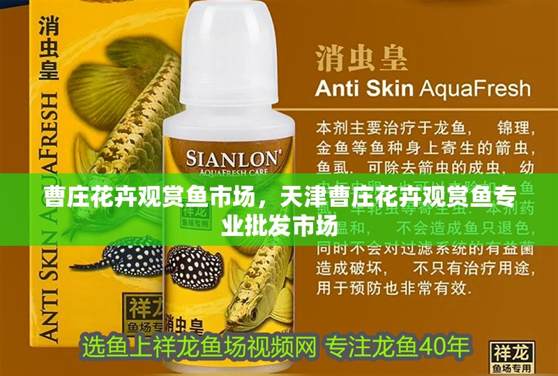 曹莊花卉觀賞魚市場(chǎng)，天津曹莊花卉觀賞魚專業(yè)批發(fā)市場(chǎng)