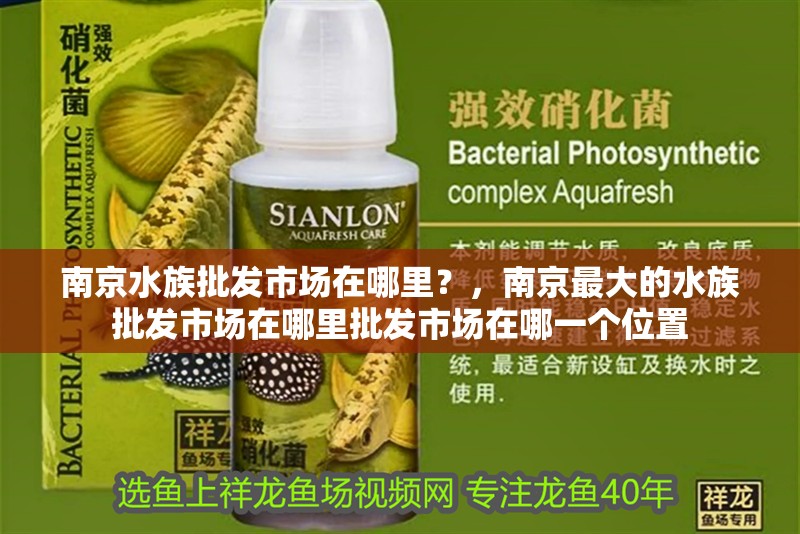 南京水族批發市場在哪里？，南京最大的水族批發市場在哪里批發市場在哪一個位置