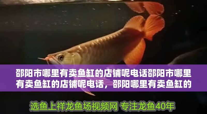 邵陽市哪里有賣魚缸的店鋪呢電話邵陽市哪里有賣魚缸的店鋪呢電話，邵陽哪里有賣魚缸的店鋪呢電話