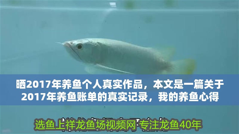 曬2017年養(yǎng)魚個人真實作品，本文是一篇關(guān)于2017年養(yǎng)魚賬單的真實記錄，我的養(yǎng)魚心得