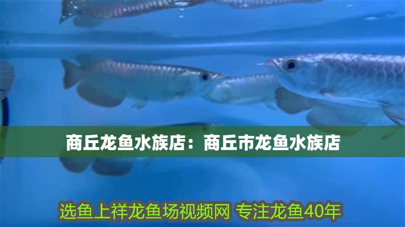 <strong><mark>商丘</mark></strong>龍魚水族店：<strong><mark>商丘</mark></strong>市龍魚水族店