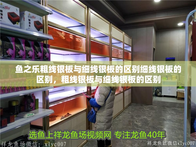 魚之樂粗線銀板與細線銀板的區(qū)別細線銀板的區(qū)別,粗線銀板與細線銀板的區(qū)別 觀賞魚百科 第5張 魚之樂粗線銀板與細線銀板的區(qū)別細線銀板的區(qū)別,粗線銀板與細線銀板的區(qū)別 魚之樂粗線銀板與細線銀板的區(qū)別細線銀板的區(qū)別,粗線銀板與細線銀板的區(qū)別 觀賞魚百科 第5張