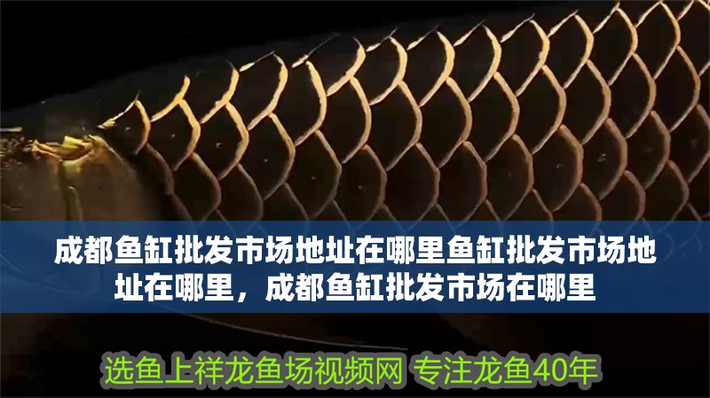 成都魚缸批發市場地址在哪里魚缸批發市場地址在哪里，成都魚缸批發市場在哪里