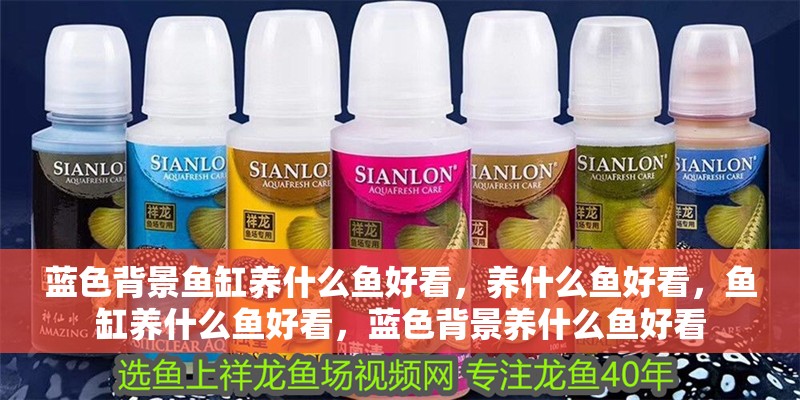 藍(lán)色背景魚缸養(yǎng)什么魚好看，養(yǎng)什么魚好看，魚缸養(yǎng)什么魚好看，藍(lán)色背景養(yǎng)什么魚好看